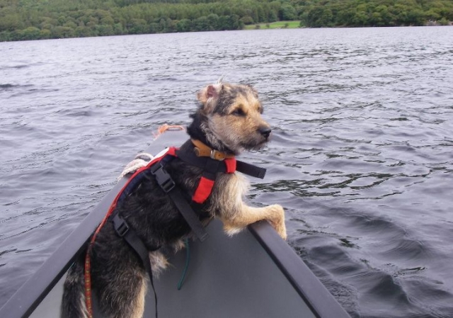  Fuera a remar con el mejor cuale del hombre